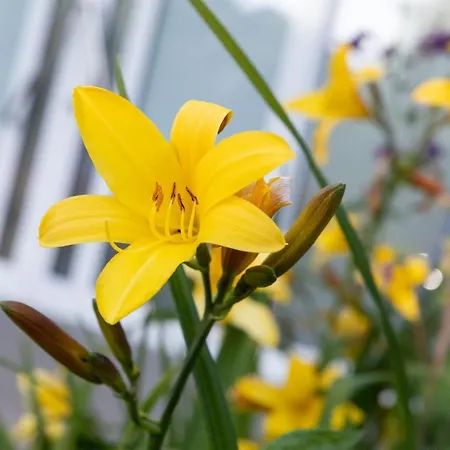 Studioatelier In Uebigau Dresden